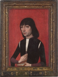 Portrait of a Young Man of the Fonseca Family by Master of Portraits of Princes