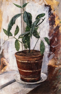 Potted Plant on the Window-Sill by Edvard Munch