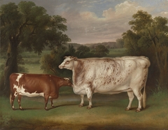 Prize Cattle in a Landscape by Thomas Weaver