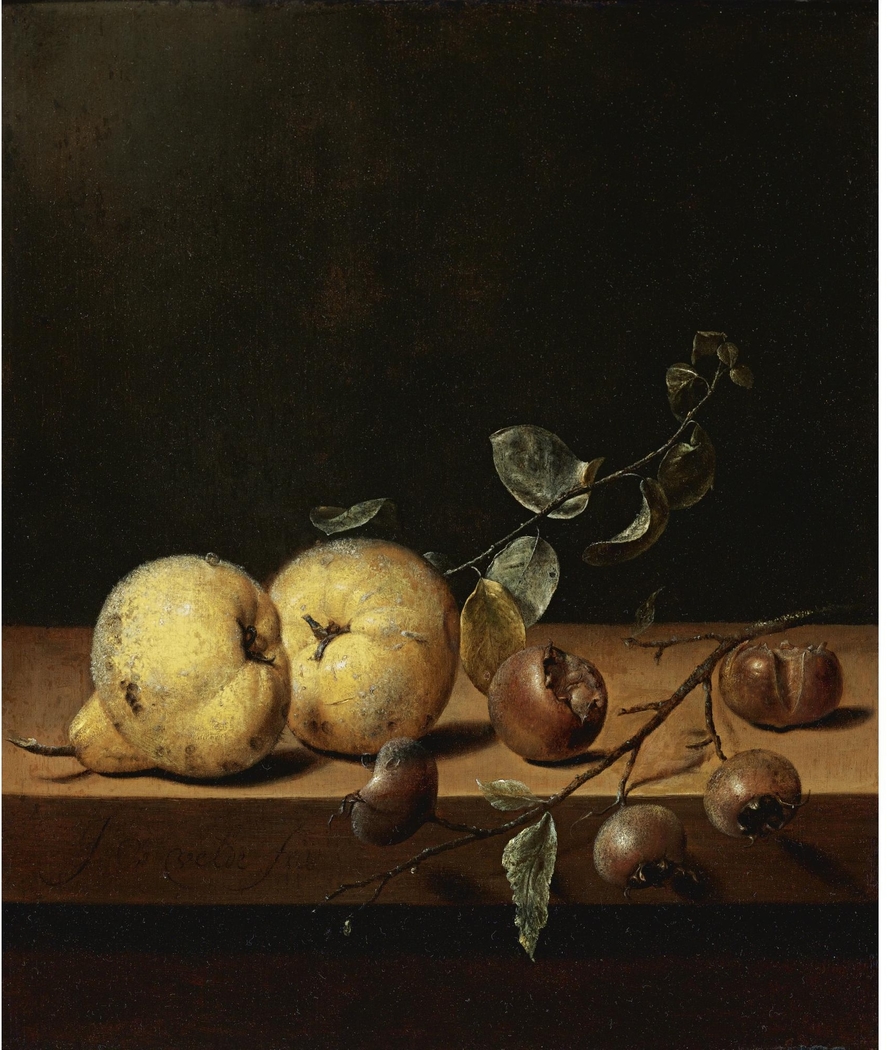 Quinces and Medlars on a Table Ledge