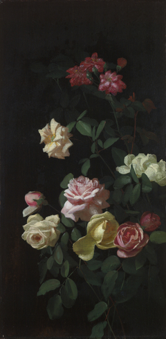 Rose by George Cochran Lambdin