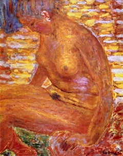 Sombre Nude by Pierre Bonnard