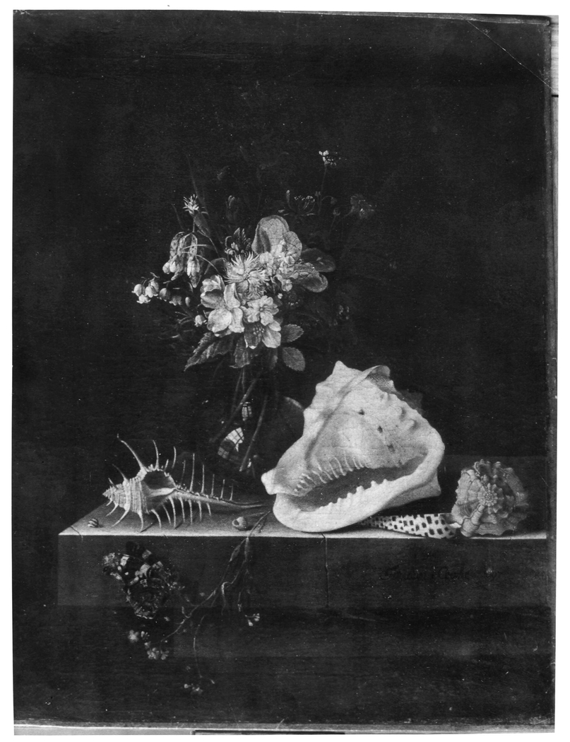 Still life with flowers, shells and a butterfly