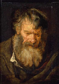 Study of the Head of an Old Man by Anthony van Dyck