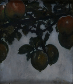 Tak van een appelboom by Jacobus van Looy