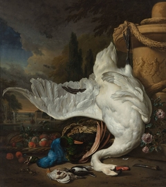 The Dead Swan by Jan Weenix