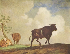 The Steer by Paulus Potter
