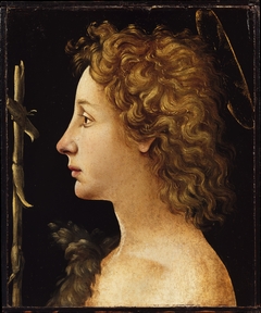 The Young Saint John the Baptist by Piero di Cosimo