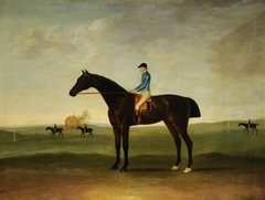 'Trentham' a Bay Racehorse by John Nost Sartorius