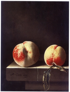 Two Peaches by Adriaen Coorte