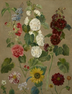 Untitled [flowers] by Eugène Delacroix