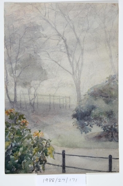 Untitled (Garden in fog) by Vivian Smith
