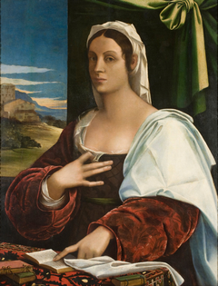 Vittoria Colonna [?] by Sebastiano del Piombo