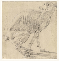 Zittende hond, zich ontlastend, van opzij gezien by Frans Snijders