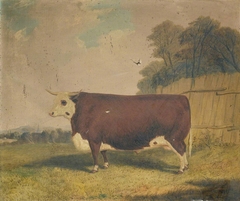 A Prize Bull in a Landscape by Richard Whitford