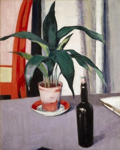 Aspidistra and Bottle on Table by Francis Cadell