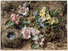 Birds Nest,  Apple Blossom and Primroses by William Henry Hunt