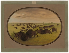 Bulls Fighting by George Catlin