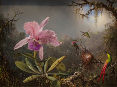 Cattleya Orchid and Three Hummingbirds