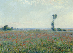 Champ de coquelicots by Claude Monet