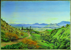 Distant View of Santiago, Chili, from Apoquindo by Marianne North