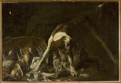 Dog attacking a cat by Jan Vonck