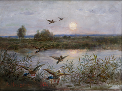 Ducks over Marshes