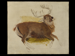 Dying Stag by Edwin Landseer