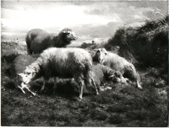 Een landschap met schapen by Rosa Bonheur