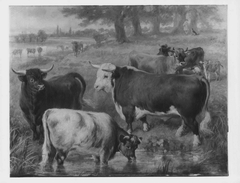 Favourite Cattle at Windsor by Gourlay Steell