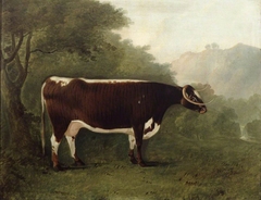 'Garrick's Sister', Sire Shakespeare Dam Long-horned Beauty sold for 115 guineas at public auction