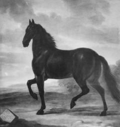 Karl den XI:s häst Frisk by David Klöcker Ehrenstrahl