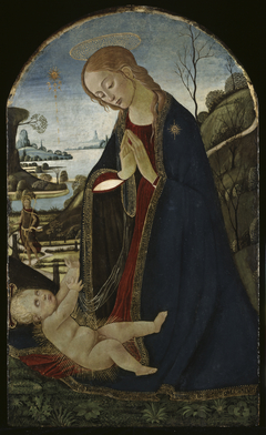 Madonna Adoring The Christ Child