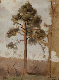 Pines at Połąga by Leon Wyczółkowski