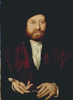 Portrait of a Man by Jan Cornelisz Vermeyen