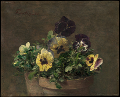 Potted Pansies by Henri Fantin-Latour