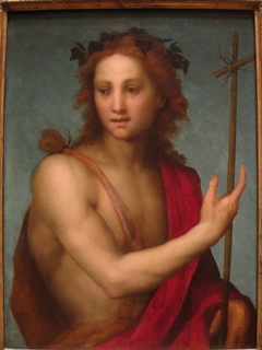 Saint John the Baptist by Andrea del Sarto