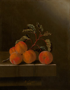 Still life with five apricots by Adriaen Coorte