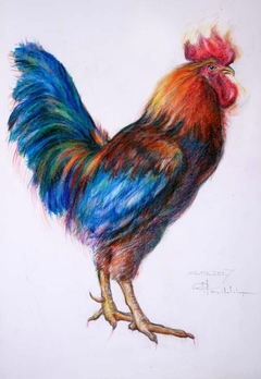 The Cock by Marie DraW