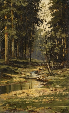 The forest brook