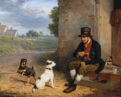 The Rat-Catcher and his Dogs by Thomas Woodward