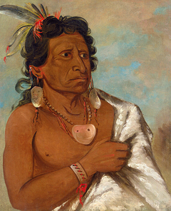 U'sh-ee-kitz, He Who Fights with a Feather, Chief of the Tribe by George Catlin