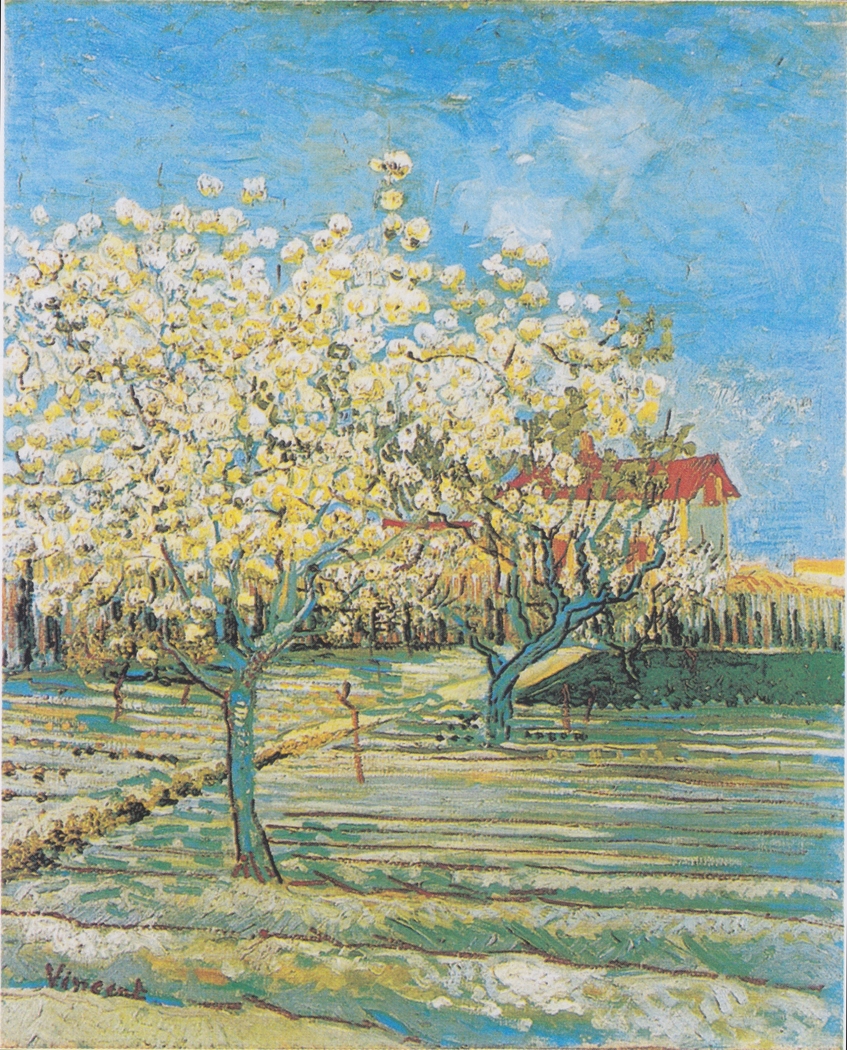 Flowering orchard