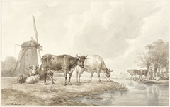 Vee in een weide aan het water nabij een molen by Hendrikus van de Sande Bakhuyzen