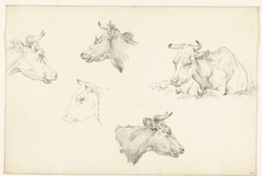 Vier studies van de kop van een koe en een liggende koe by Jean Bernard