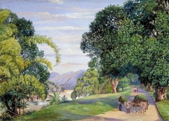 View at Peradeniya, Ceylon by Marianne North
