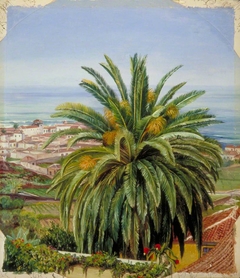View of Puerto de Orotava, Teneriffe, from Sitio del Pardo by Marianne North