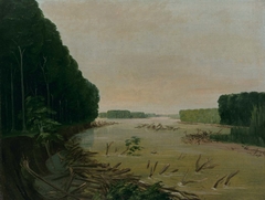 View on the Missouri, Alluvial Banks Falling in, 600 Miles above St. Louis by George Catlin