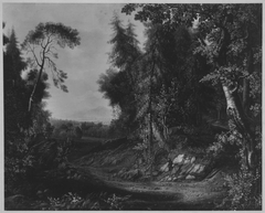 Waldlandschaft by Philipp Hieronymus Brinckmann