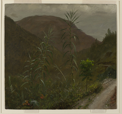 Wild Sugar Cane, Jamaica by Frederic Edwin Church